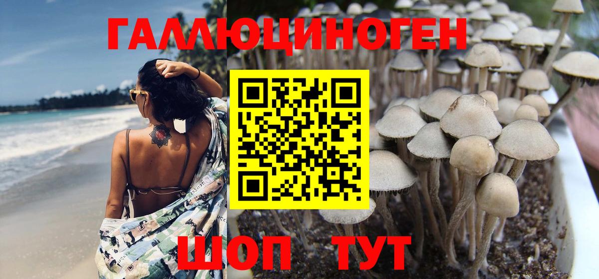Галлюциногенные грибы ЛСД Кыштым