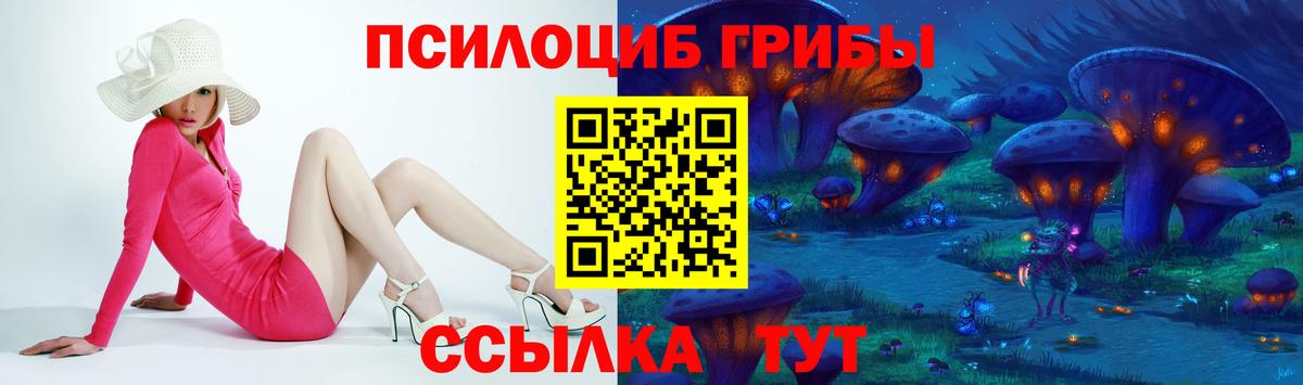 Кыштым  Псилоцибиновые грибы MAGIC MUSHROOMS  где найти наркотики  Вход с VPN 